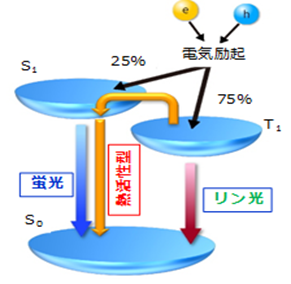 エコシステム成果報告会を開催